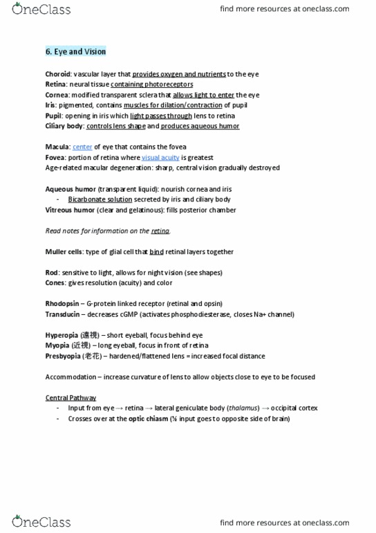 PHRM 100 Lecture Notes - Lecture 6: Lateral Geniculate Nucleus, Vitreous Body, Macular Degeneration thumbnail