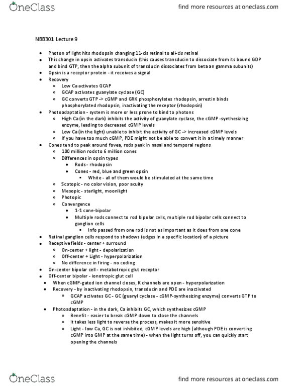 NBB 301 Lecture Notes - Lecture 9: Retinal Ganglion Cell, Transducin, Ganglion Cell thumbnail