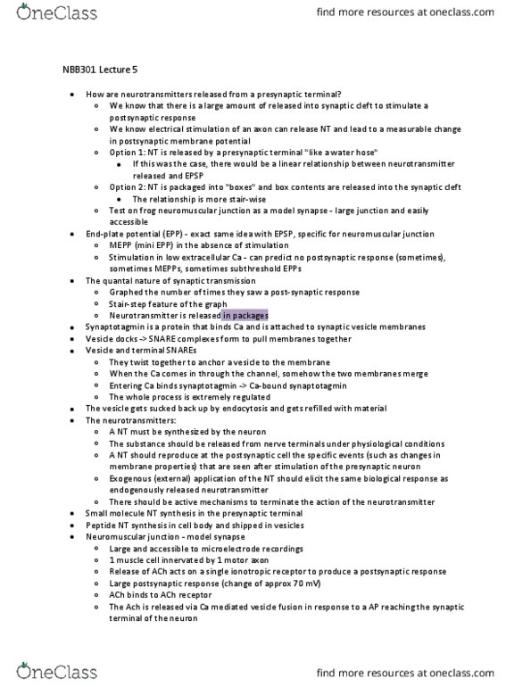 NBB 301 Lecture Notes - Lecture 5: Neuromuscular Junction, Synaptic Vesicle, Synaptotagmin 1 thumbnail