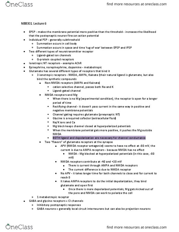 NBB 301 Lecture Notes - Lecture 6: Nmda Receptor Antagonist, Nmda Receptor, Metabotropic Receptor thumbnail