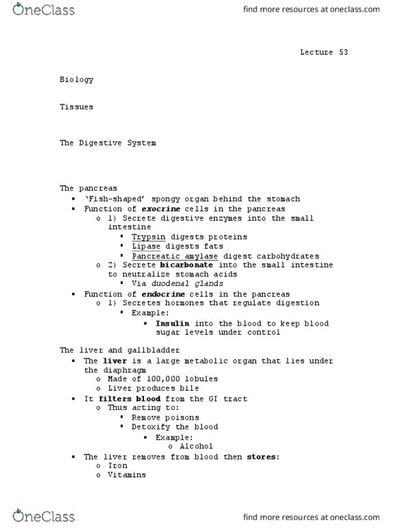 BIOL 155 Lecture Notes - Lecture 53: Duodenum, Blood Sugar, Trypsin thumbnail