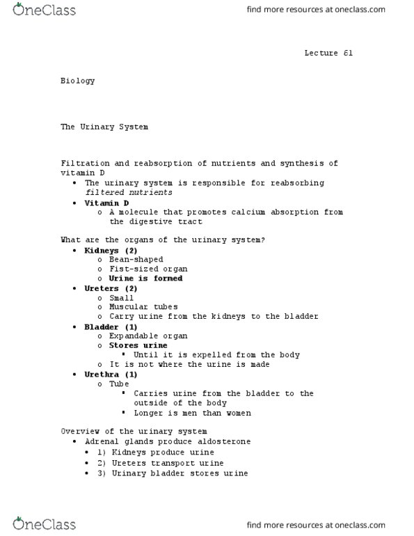 BIOL 110 Lecture Notes - Lecture 61: Adrenal Gland, Ureter, Aldosterone thumbnail