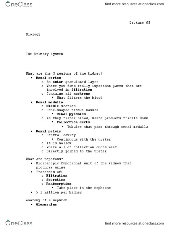 BIOL 110 Lecture Notes - Lecture 65: Renal Medulla, Renal Pelvis, Renal Pyramids thumbnail