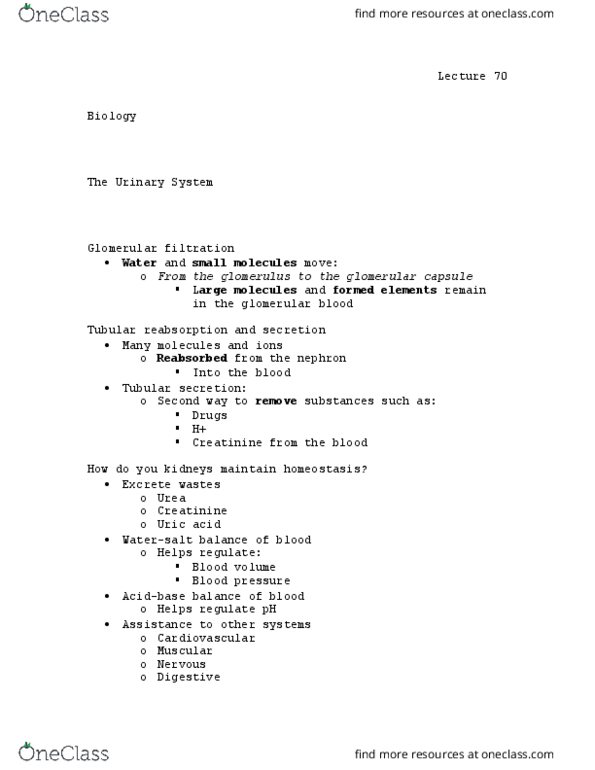 BIOL 110 Lecture Notes - Lecture 70: Renal Function, Creatinine, Reabsorption thumbnail