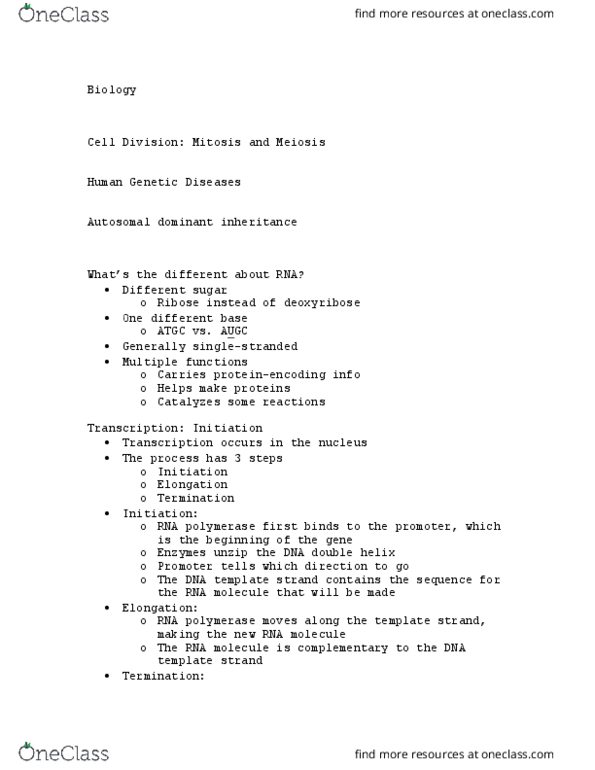 BIOL 155 Lecture Notes - Lecture 91: Deoxyribose, Ribose, Meiosis thumbnail