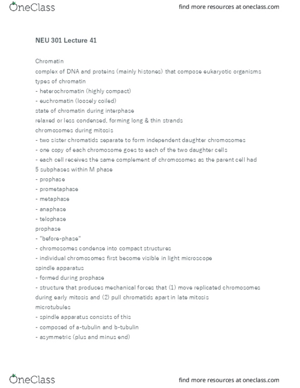 NEU 301 Lecture Notes - Lecture 41: Spindle Apparatus, Sister Chromatids, Prophase thumbnail