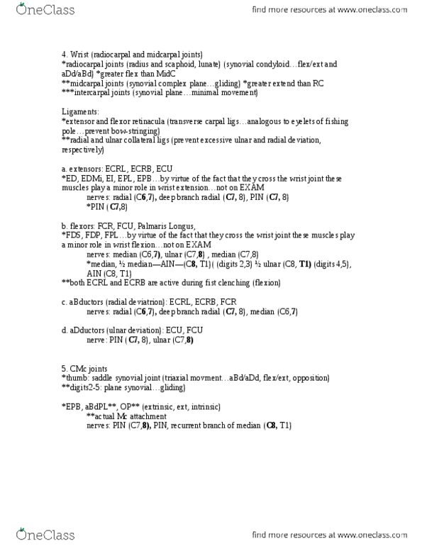 BIOL1300 Lecture Notes - Metacarpal Bones, Teres Major Muscle, Thoracodorsal Nerve thumbnail