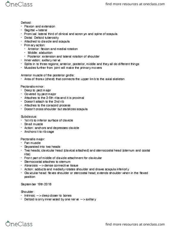 KP221 Lecture Notes - Lecture 5: Deltoid Tuberosity, Axillary Nerve, Sternocostal Joints thumbnail