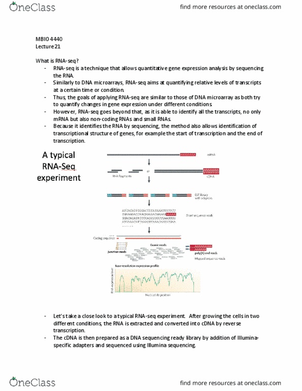 MBIO 4440 Lecture Notes - Lecture 21: Dna Microarray, Rna-Seq, Reverse Transcriptase thumbnail