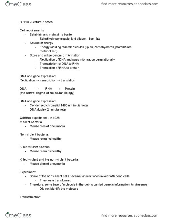 BI110 Chapter Notes - Chapter 7 part : Lipid Bilayer, Dna Replication, Central Dogma Of Molecular Biology thumbnail