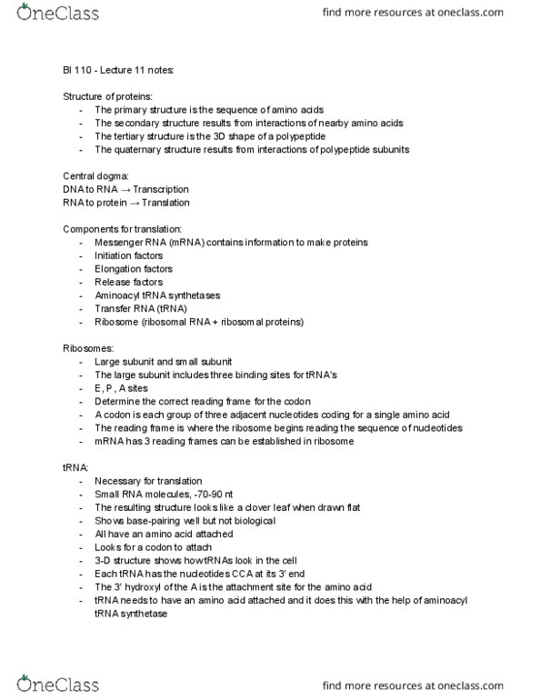 BI110 Chapter Notes - Chapter 11: Aminoacyl Trna Synthetase, Messenger Rna, Reading Frame thumbnail