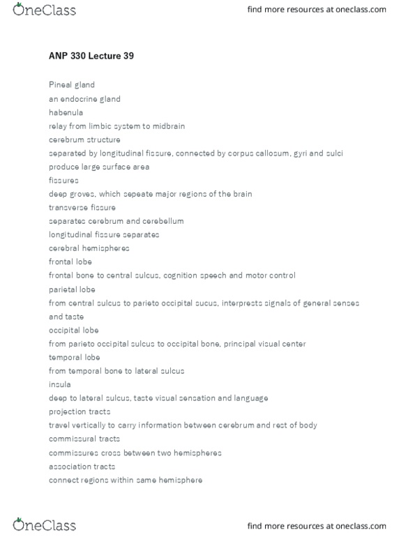 ANP 330 Lecture Notes - Lecture 39: Commissural Fiber, Medial Longitudinal Fissure, Central Sulcus thumbnail