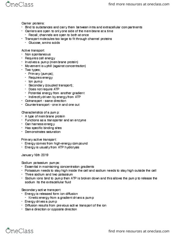 KP290 Lecture Notes - Lecture 7: Active Transport, Atp Hydrolysis, Cellular Respiration thumbnail