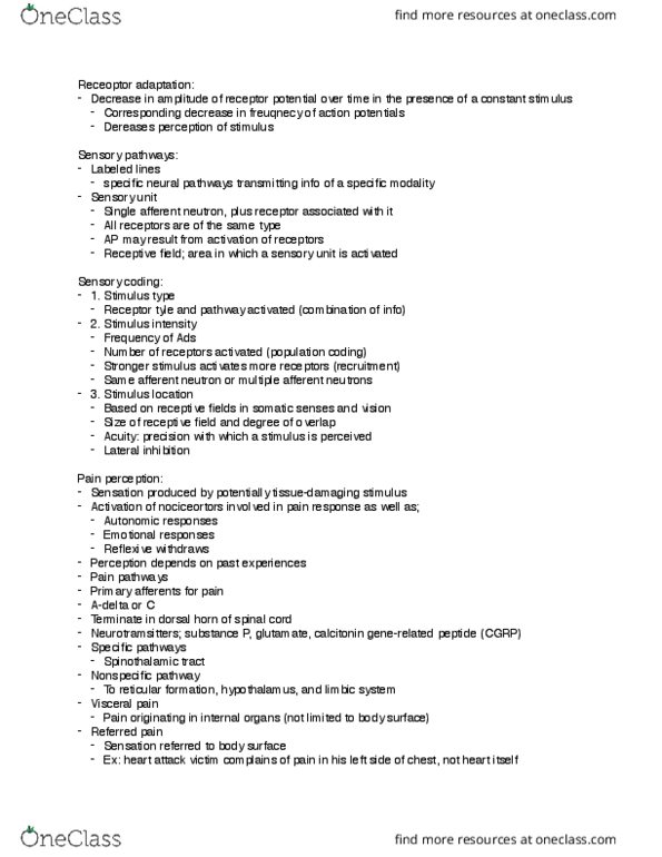 KP290 Lecture Notes - Lecture 19: Spinothalamic Tract, Reticular Formation, Posterior Grey Column thumbnail