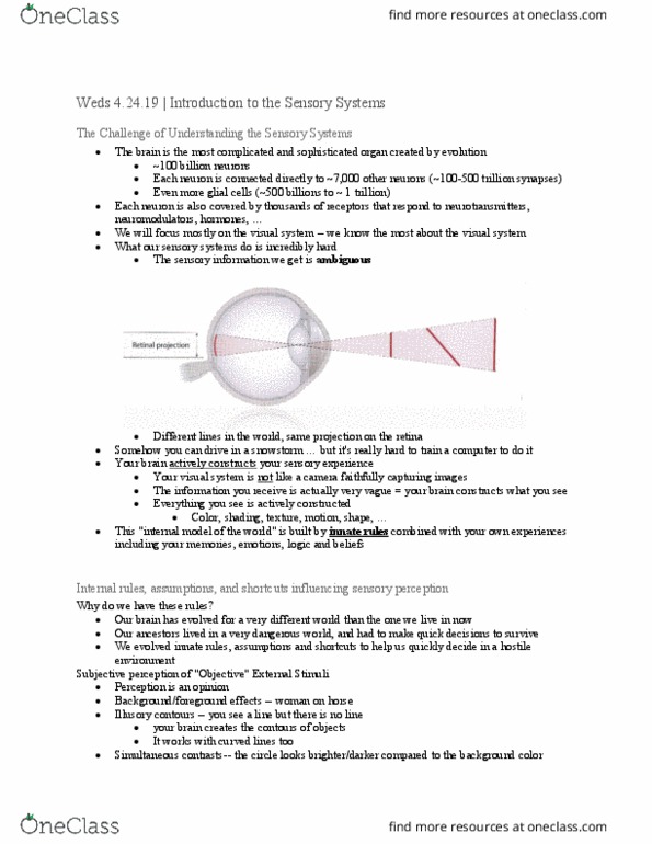 BIO SCI N110 Lecture Notes - Lecture 1: Illusory Contours, Neuroglia, Retina thumbnail