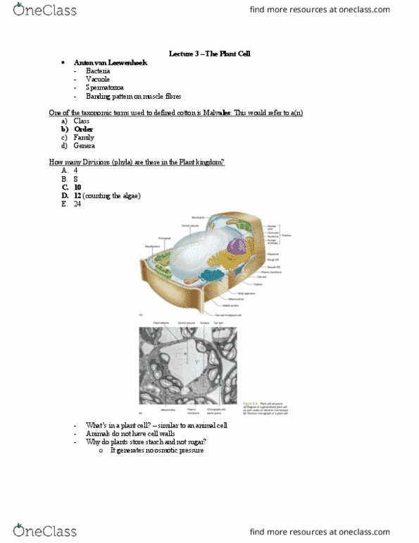 Biology 2217B Lecture Notes - Lecture 3: The Plant Cell, Malvales, Plant Cell thumbnail