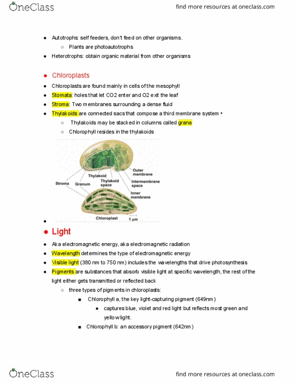 BIO 121 Lecture Notes - Lecture 9: Thylakoid, Accessory Pigment, Chlorophyll thumbnail