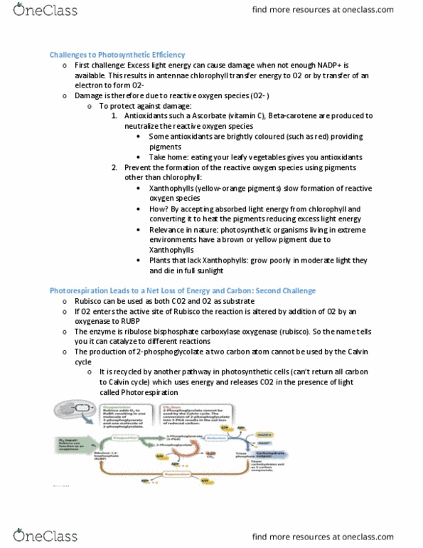 document preview image