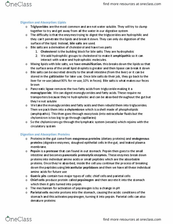 BIOB34H3 Lecture Notes - Lecture 4: Bile Acid, Monoglyceride, Parietal Cell thumbnail