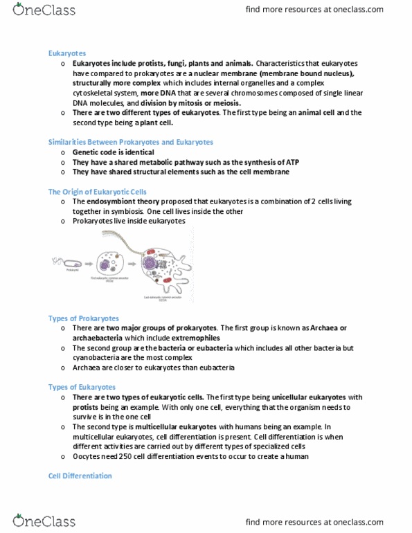BIOB10H3 Lecture Notes - Lecture 1: Bacteria, Archaea, Nuclear Membrane thumbnail