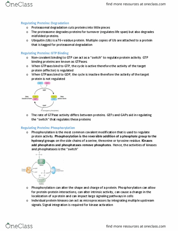 BIOB10H3 Lecture Notes - Lecture 3: Gtpase, Proteasome, Intrinsic Activity thumbnail