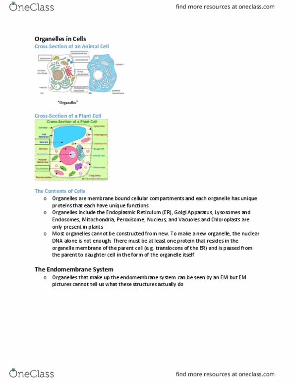 BIOB10H3 Lecture Notes - Lecture 4: Endoplasmic Reticulum, Golgi Apparatus, Endomembrane System thumbnail