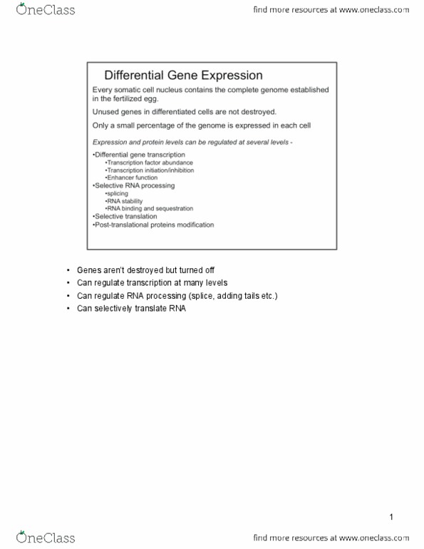 Biology 3338A Lecture Notes - Morphogen, Embryonic Stem Cell, Pdx1 thumbnail