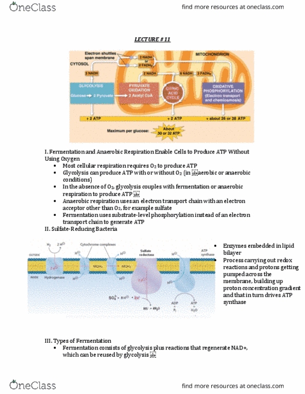 document preview image