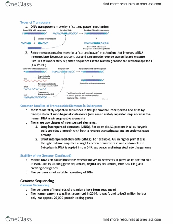 BIOB11H3 Lecture Notes - Lecture 2: Reverse Transcriptase, Endonuclease, Exon thumbnail