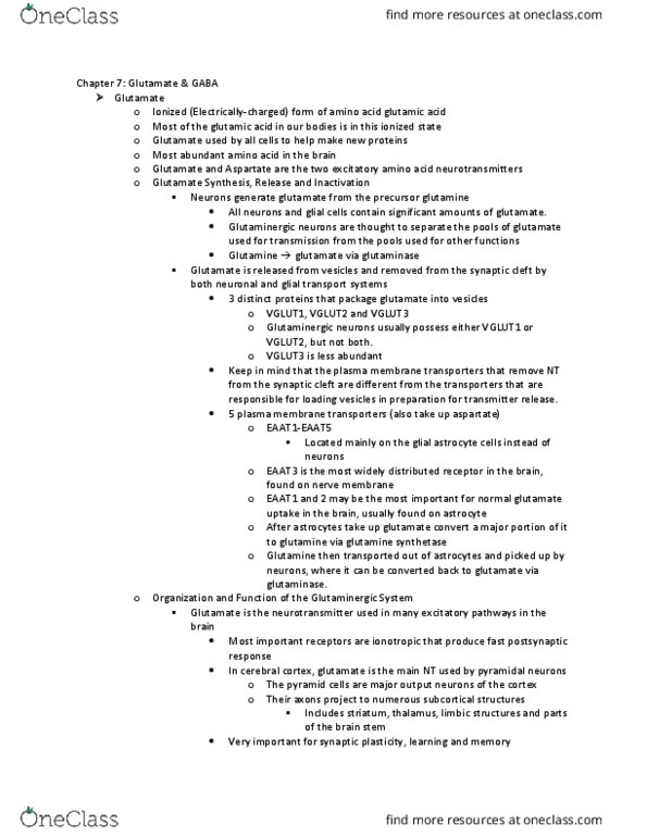 NPB 168 Chapter Notes - Chapter 7: Glutamine Synthetase, Glutamate Aspartate Transporter, Glutaminase thumbnail