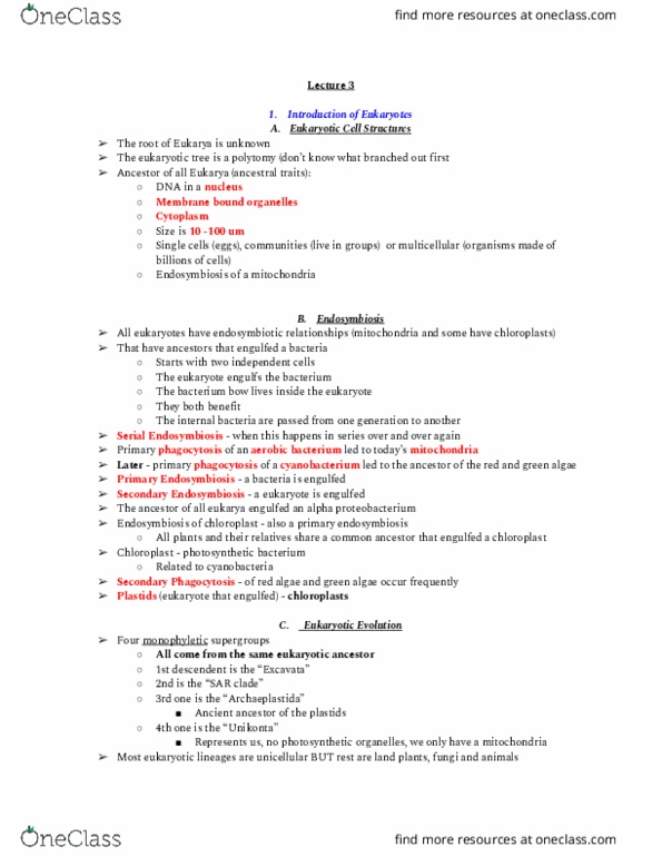 01:119:116 Lecture Notes - Lecture 3: Symbiogenesis, Green Algae, Red Algae thumbnail