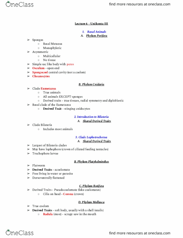 01:119:116 Lecture Notes - Lecture 6: Bilateria, Eumetazoa, Unikont thumbnail