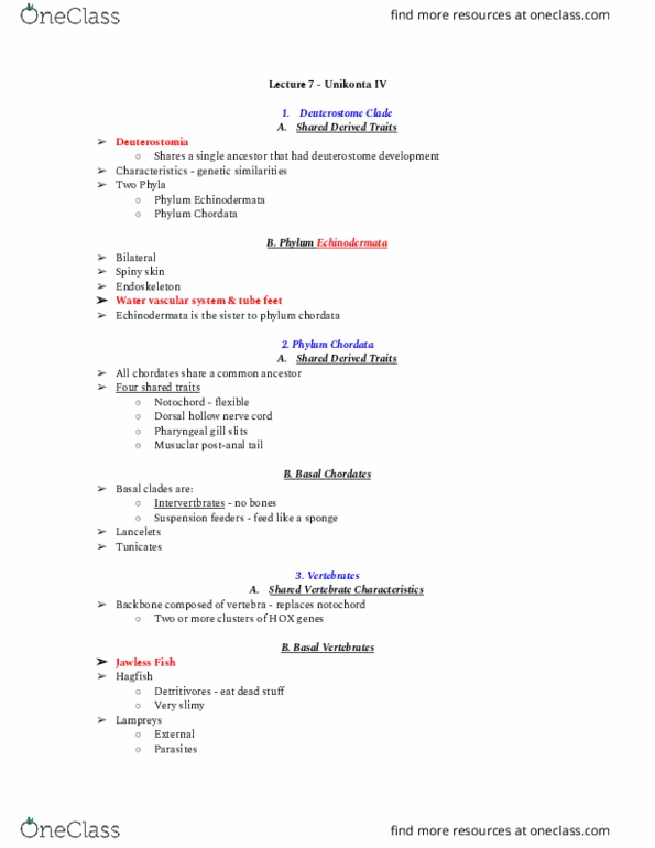 01:119:116 Lecture Notes - Lecture 7: Echinoderm, Chordate, Unikont thumbnail