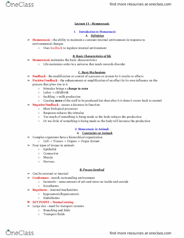01:119:116 Lecture Notes - Lecture 11: Homeostasis, Blood Sugar Regulation thumbnail
