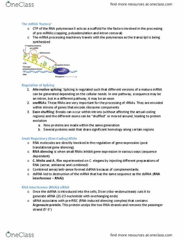 BIOB11H3 Lecture Notes - Lecture 5: Exon Shuffling, Rna Interference, Alternative Splicing thumbnail