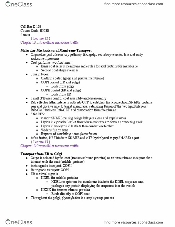 BIO SCI D103 Lecture Notes - Lecture 12: Secretion, Copii, Clathrin thumbnail