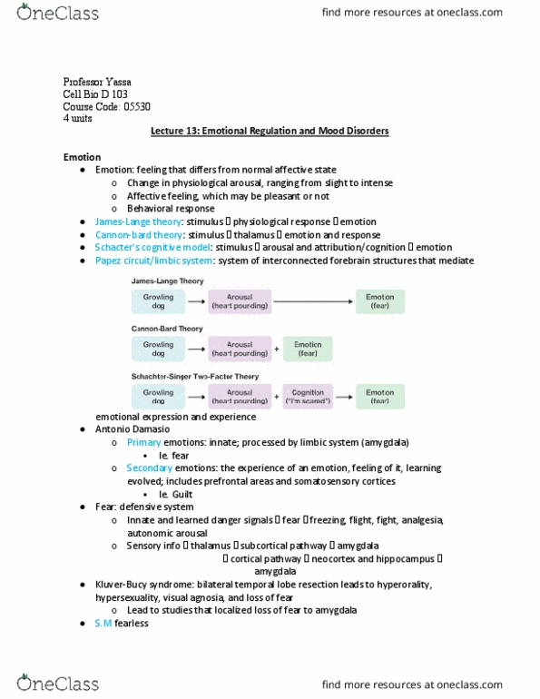 BIO SCI N173 Lecture Notes - Lecture 13: Antonio Damasio, Temporal Lobe, Limbic System thumbnail