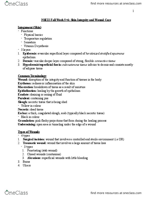 NSE 22A/B Lecture Notes - Lecture 5: Stratified Squamous Epithelium, Surgical Incision, Granulation Tissue thumbnail