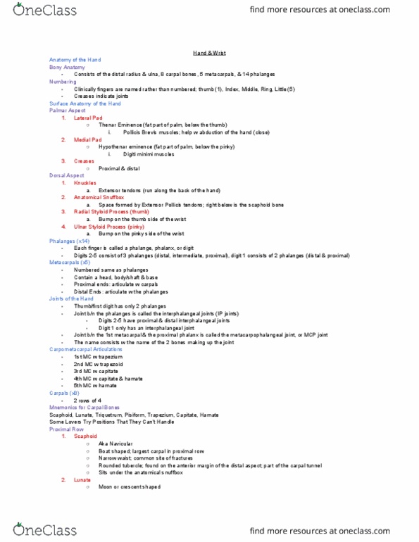 MEDRADSC 2D03 Lecture Notes - Lecture 2: Anatomical Snuffbox, Hypothenar Eminence, Scaphoid Bone thumbnail