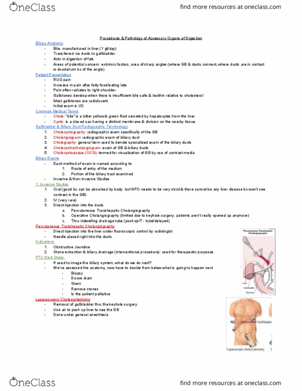 MEDRADSC 2I03 Lecture Notes - Lecture 10: Bile Duct, Biliary Tract, Cholangiography thumbnail