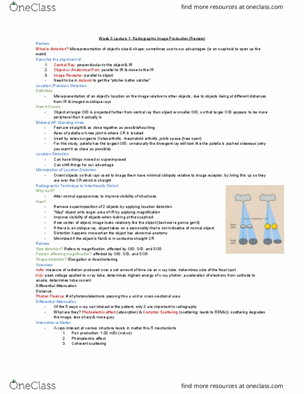 MEDRADSC 2Y03 Lecture Notes - Lecture 5: Compton Scattering, Rheumatoid Arthritis, Scaphoid Bone thumbnail