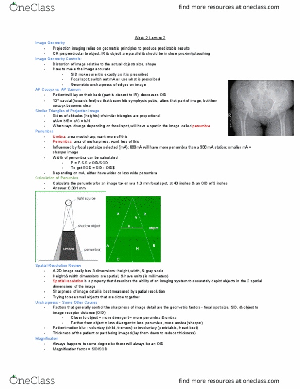 MEDRADSC 2Y03 Lecture Notes - Lecture 4: Pubic Symphysis, The Sharper Image, Motion Blur thumbnail
