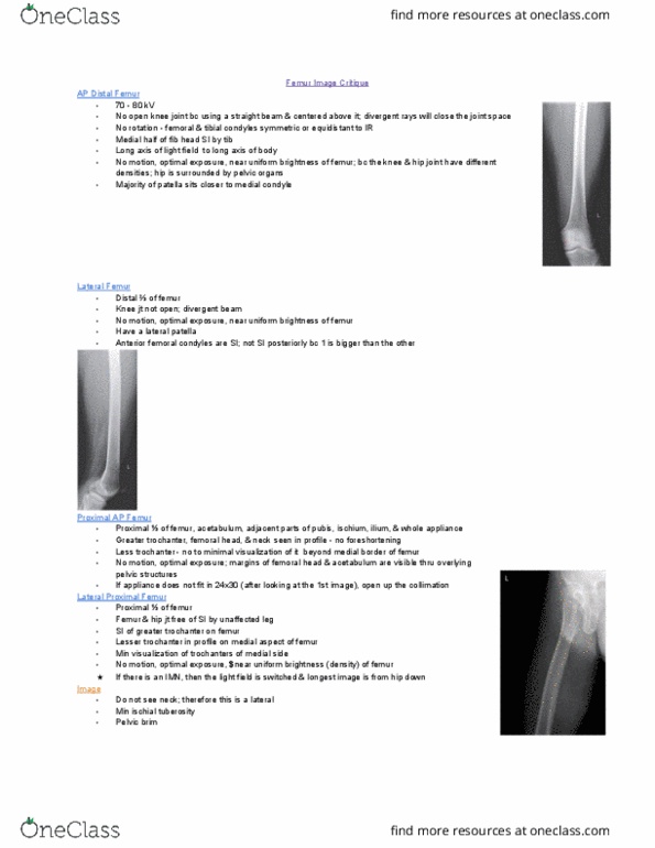 MEDRADSC 2G03 Lecture Notes - Lecture 4: Lesser Trochanter, Ischial Tuberosity, Greater Trochanter thumbnail