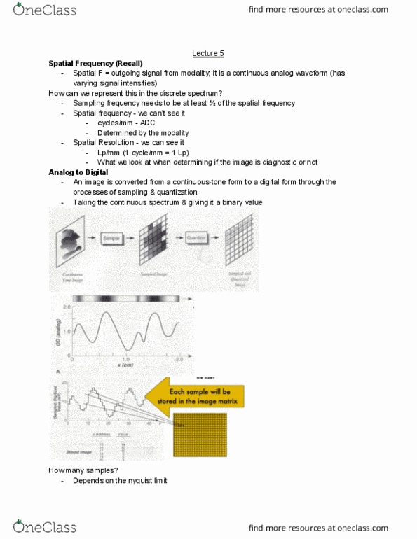 MEDRADSC 2BB3 Lecture Notes - Lecture 5: Nyquist Frequency, Spatial Frequency, Digital Image thumbnail