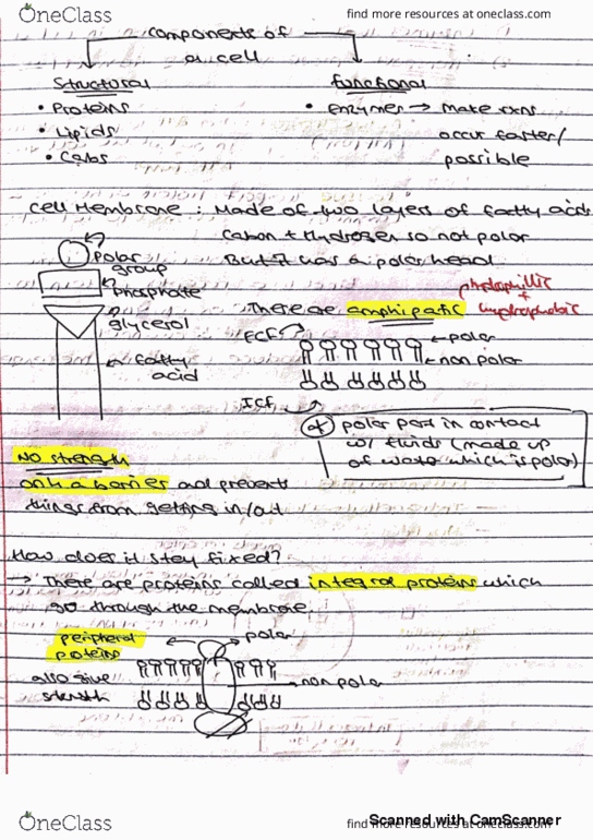 BIPN 100 Lecture 9: 2 thumbnail