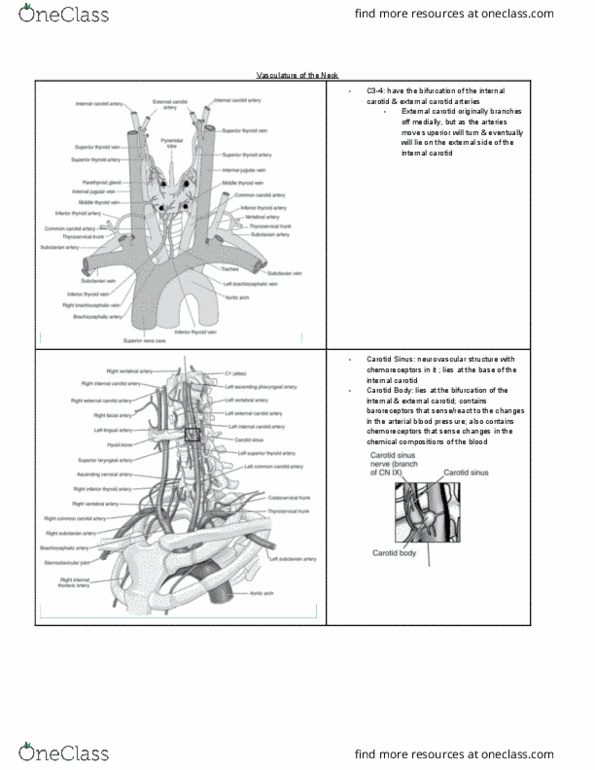 document preview image