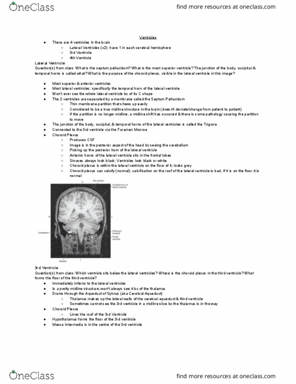 MEDRADSC 2RA3 Lecture Notes - Lecture 3: Choroid Plexus, Septum Pellucidum, Interthalamic Adhesion thumbnail