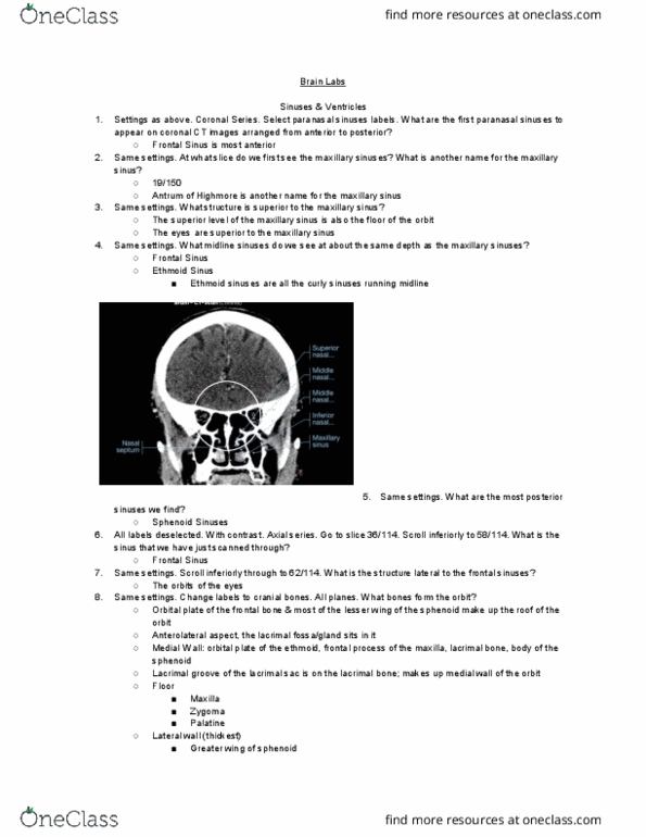 MEDRADSC 2RA3 Lecture Notes - Lecture 11: Paranasal Sinuses, Ethmoid Sinus, Lacrimal Groove thumbnail