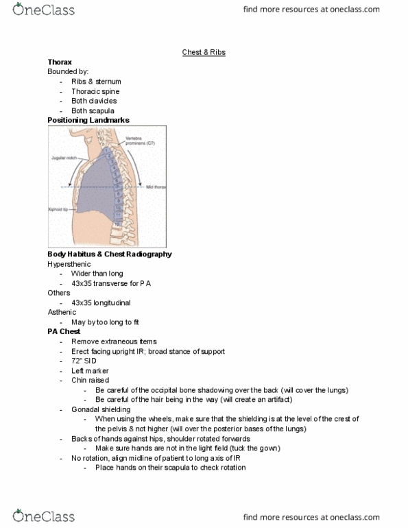 MEDRADSC 2H03 Lecture Notes - Lecture 2: Occipital Bone, Radiography, Scapula thumbnail