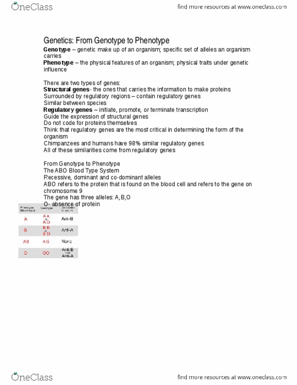 APY 107 Chapter Notes - Chapter 3: Phenylthiocarbamide, Pitx1, Northern Hemisphere thumbnail